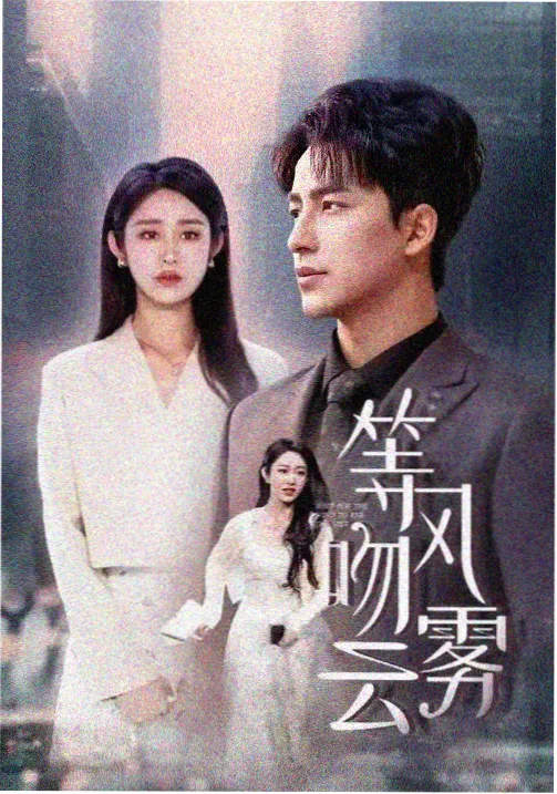 番茄影视2024年度十佳